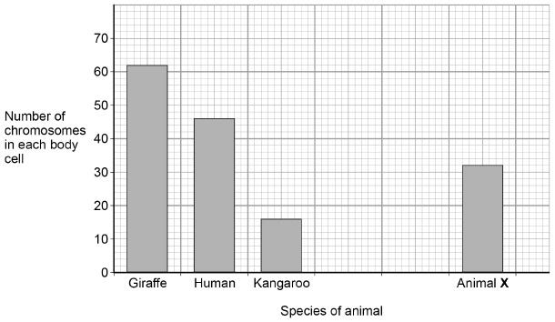 Plot the data from the table for the snail and for the zebra fish on the graph. (2) (e) Look at the graph.