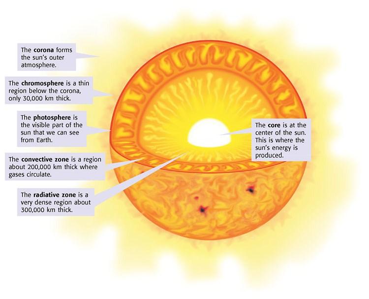 The Sun: Our Very Own Star Chapter: 3 Section: 2 Pages: 68-73 Fast Facts: Energy from the sun and the Earth s surface. Energy from the sun drives the.