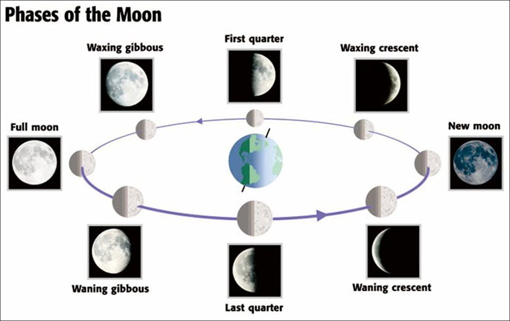 Moon Phases Chapter: 4 Section: 4 Pages: 112 Cause of Moon Phases: The moon s position relative to and the. The of sunlight that the side of changes.