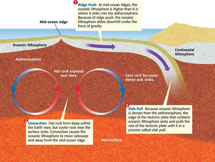 Theory of Plate Tectonics Wilson Chapter: 4 Section: 3 Pages: 108-111 Plate Tectonics = + + Subduction Subduction is the process by which the old ocean floor is.
