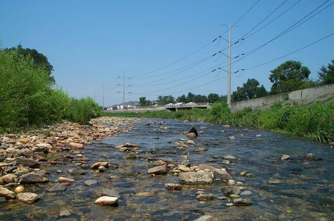 Engineering Objectives Maintain flood protection Improve conveyance through structures crossing the stream reduce back eddies and erosion Increase stability of the stream system Provide