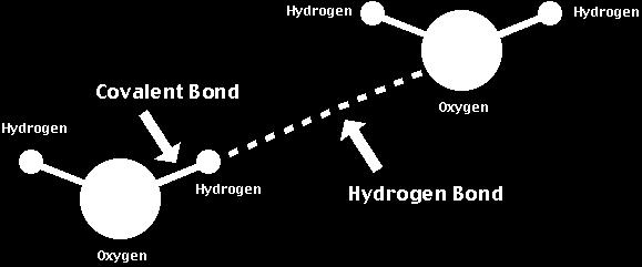 Weak Chemical Bonds covalent bonds strongest ionic bonds next strongest hydrogen bonds weakest very important