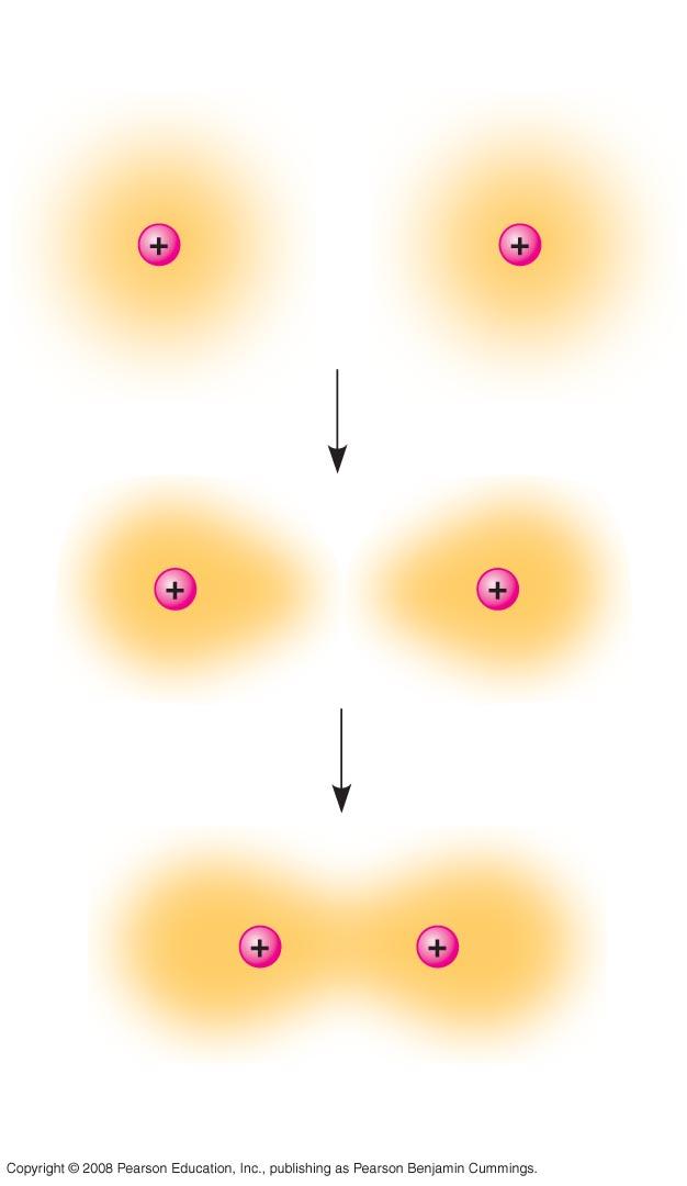 Fig. 2-11 Hydrogen atoms (2 H) Hydrogen molecule (H 2 ) Covalent Bonds Molecule two or more atoms held