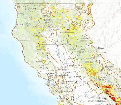 Areas with Tree Mortality 2016 Reported Conditions There is also a growing dead fuel component across a wide swath of the region Mass die-off of vegetation especially in the Sierras where an