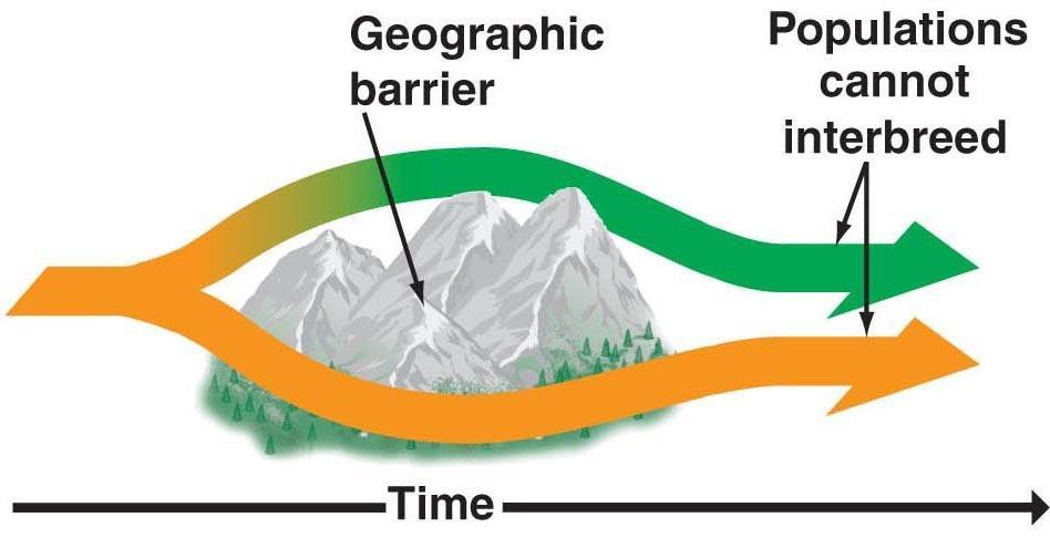 http://www.fullfrontalanatomy.com/bio3/standard_docs/resources/campbell/chapter_14/b_jpeg_images/14_labeled_images/14_08geographic-l.jpg U3: isolation of be temporal, behavioral or geographic.