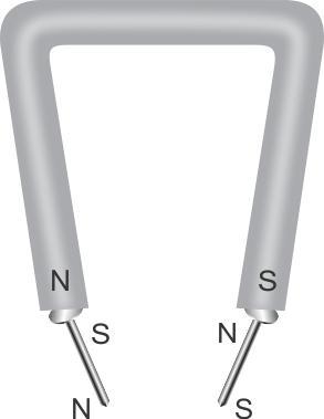 i. Figure shows the lower ends of the needles near each other (or touching each other). They have opposite polarities developed due to induction.