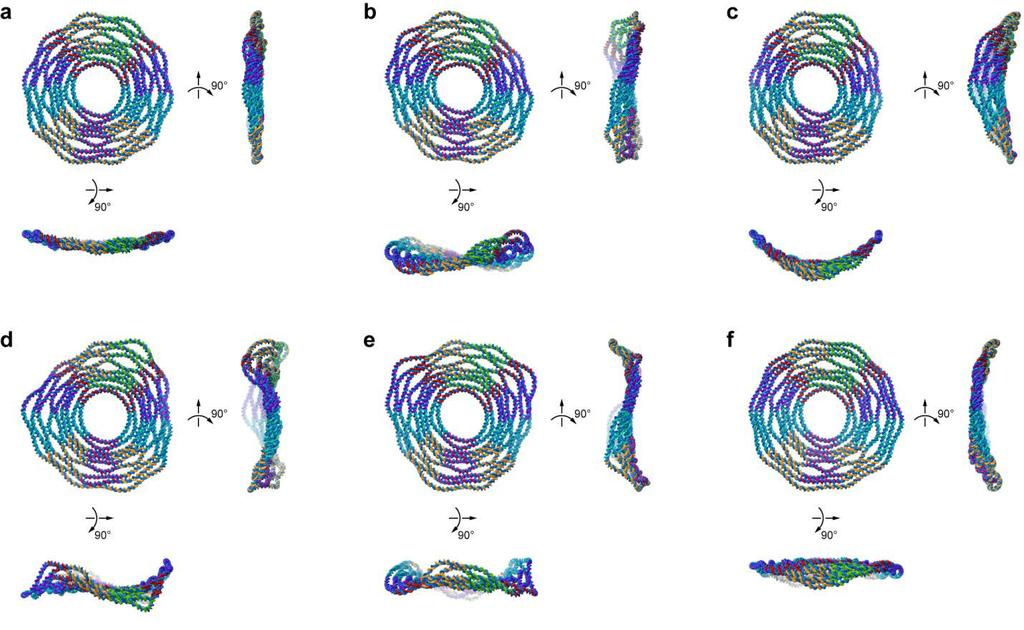 Fgure S13. Shapes of the NMs of the nne-layer rng orgam.