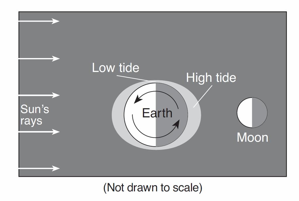 Base your answers to questions 161 and 162 on the diagram below, which shows the locations of high and low tides on Earth at a particular time. 161. Approximately how many hours will pass between high tide and the following low tide?