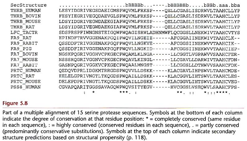 Multiple alignments (2) Figure 5.8 Multiple alignment of 15 serine protease sequence.
