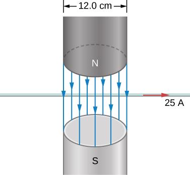 81. A 5.0-m section of a long, straight wire carries a current of 10 A while in a uniform magnetic 3 field of magnitude 8.0 10 T.