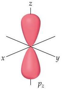The p orbitals consist of two lobes that resembles a solid figure eight 8 or dumbbell and are designed as 2p x, 2p y, and 2p z.