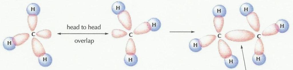 2- Ethane H H H H C C H H The second member of the alkane series; C 2 H 6. Each two carbons are linked to each other using an sp 3 hybridization since they are single bonds.