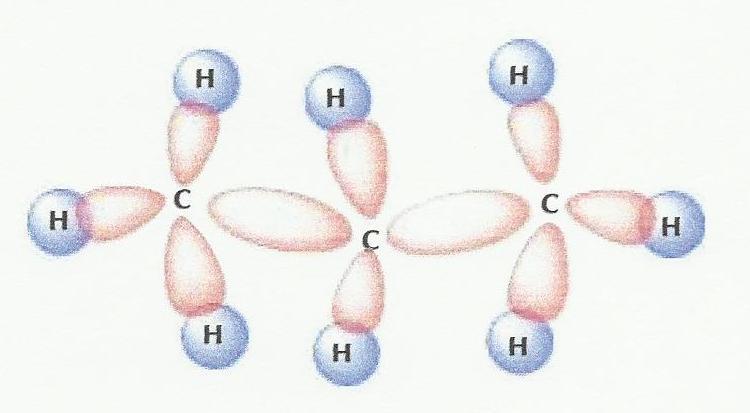 3- Propane The third member of the alkane series; C 3 H 8. carbons are linked to each other in a similar way using an sp 3 hybridization since they are single bonds.