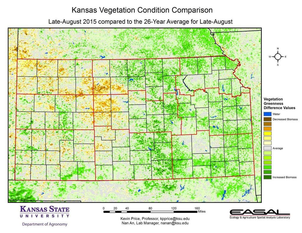 Compared to the 26-year average at this time for Kansas, this year s Vegetation Condition Report for August 18 August 31 from K-State s Ecology and Agriculture Spatial Analysis Laboratory shows that