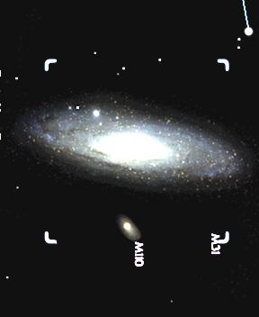 The Metal-Poor Halo of the Andromeda Spiral Galaxy Feb.