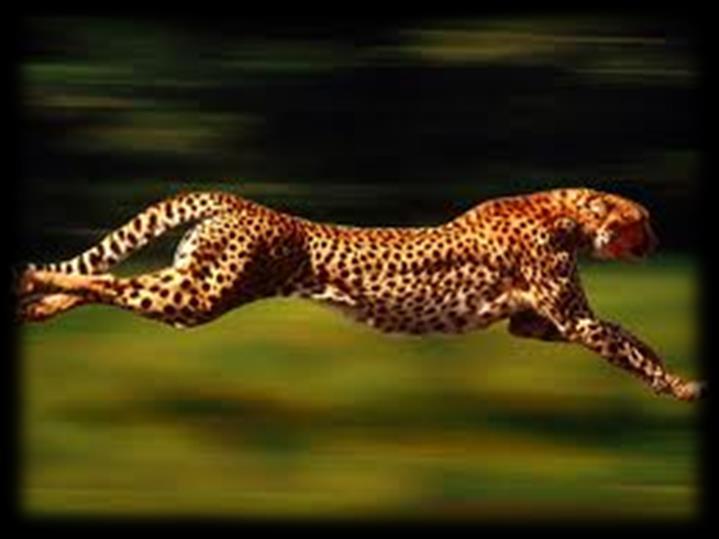 Whle chasng s prey n a shor sprn, a cheeah sars rom res and runs 45 m n a sragh lne, reachng a nal speed o 7 km/h.