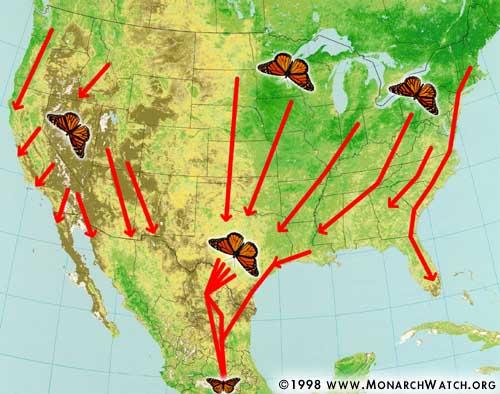 Example 2: Monarch butterflies migrate from Eastern Canada to central Mexico, a resultant displacement of