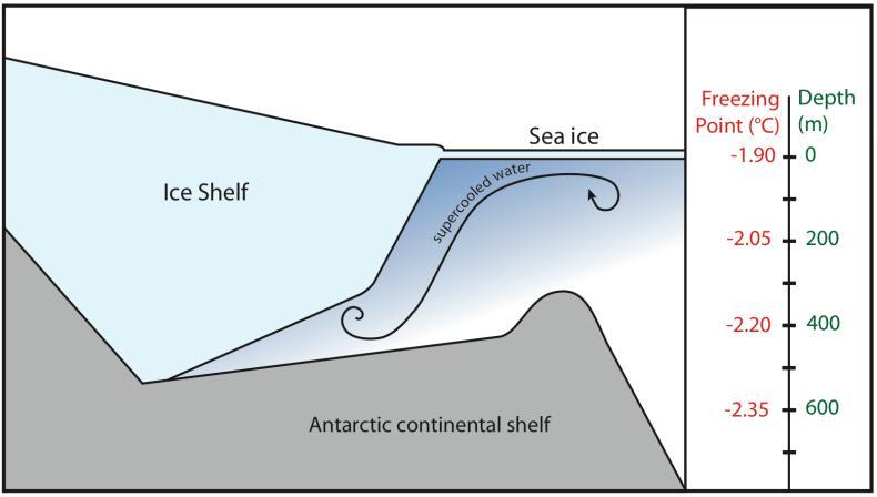 Explain the change and what scientists believe has caused the change. 7. How do icebergs form? 8.