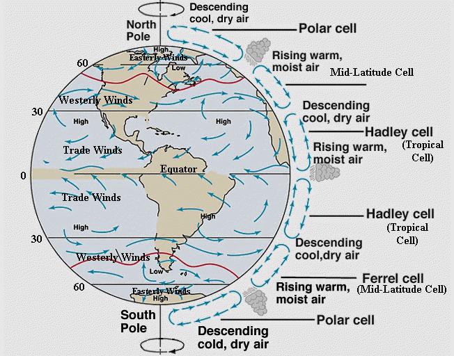 Boundaries (or using table 6.4) 10. Where are the doldrums located? 11. What makes the doldrums unique? 12. What is the ITCZ? 13. Where are the horse latitudes? 14.