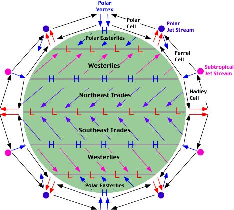 Atmospheric Circulation Earth s rotation influences direction of wind Earth rotates from East to West Deflects wind from straight-line path Coriolis Effect