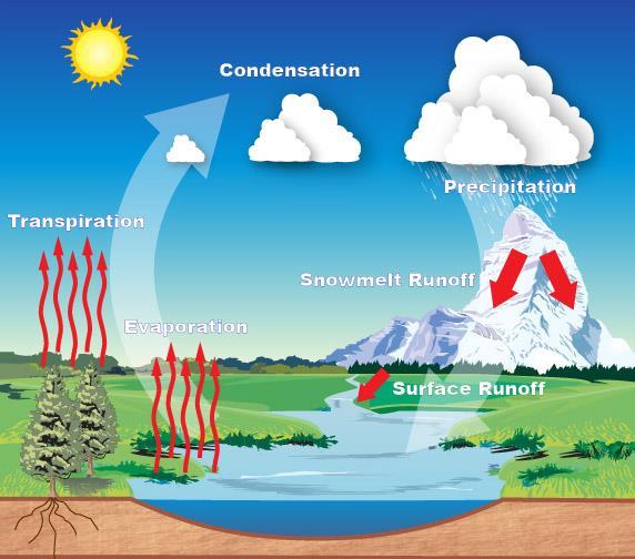 The Water (Hydrologic) Cycle The