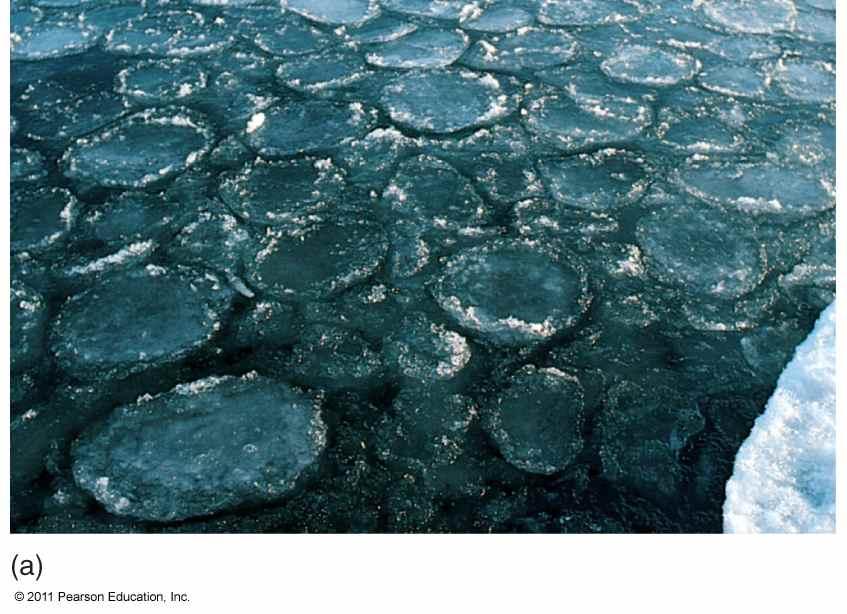 Pancakes coalesce to ice floes Rate of