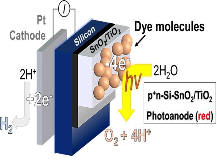ruthenium-based chromophores and catalysts, which perform light absorption and wateroxidation catalysis Silicon p + -n wafers provide the