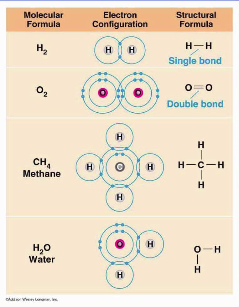Molecule - 2 or more atoms bonded together - Bonds can be ionic, covalent, and metallic bonds.