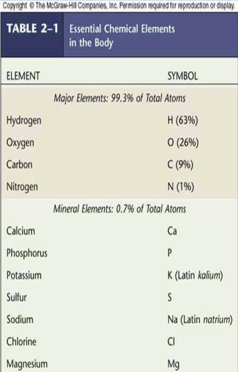 Atomic composition of the Body Major elements in the human body: - Carbon, Oxygen, Hydrogen, Nitrogen (accounts for 99.
