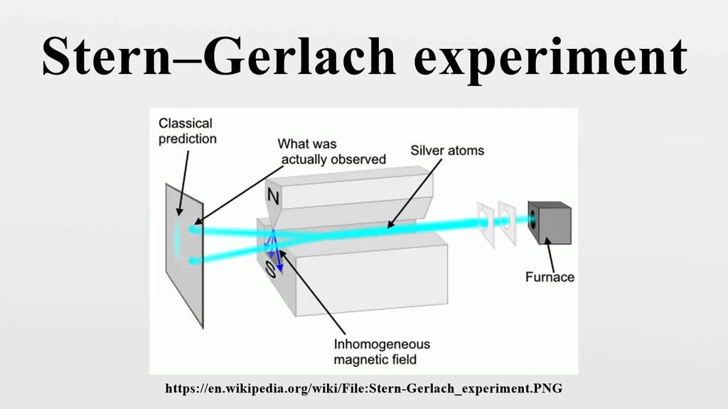 sent through a spatially varying magnetic field, which deflected them before they struck a detector screen, such as a glass slide.