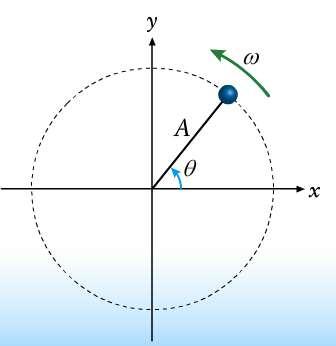 Lie shadow of rotating ball v tan = Aw v tan- = -Aw*(-sin(Q)) = -Aw*sin(wt) a cen = Aw a cen- = Aw *(-cos(q)) = -Aw *cos(wt) - Slide 7