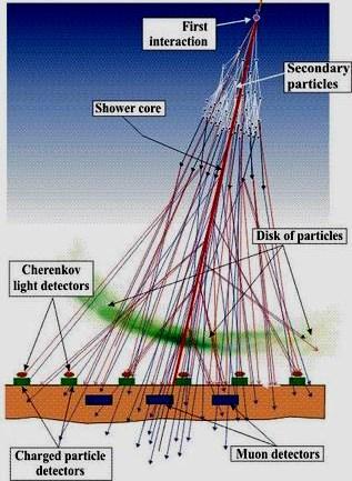 interaction in atmosphere Forward energy spectrum Development of the