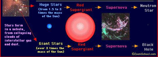 Stellar Death Large Stars (Mass > 1.5 mass of Sun): Star first becomes a follows Depending on star s mass: 1.