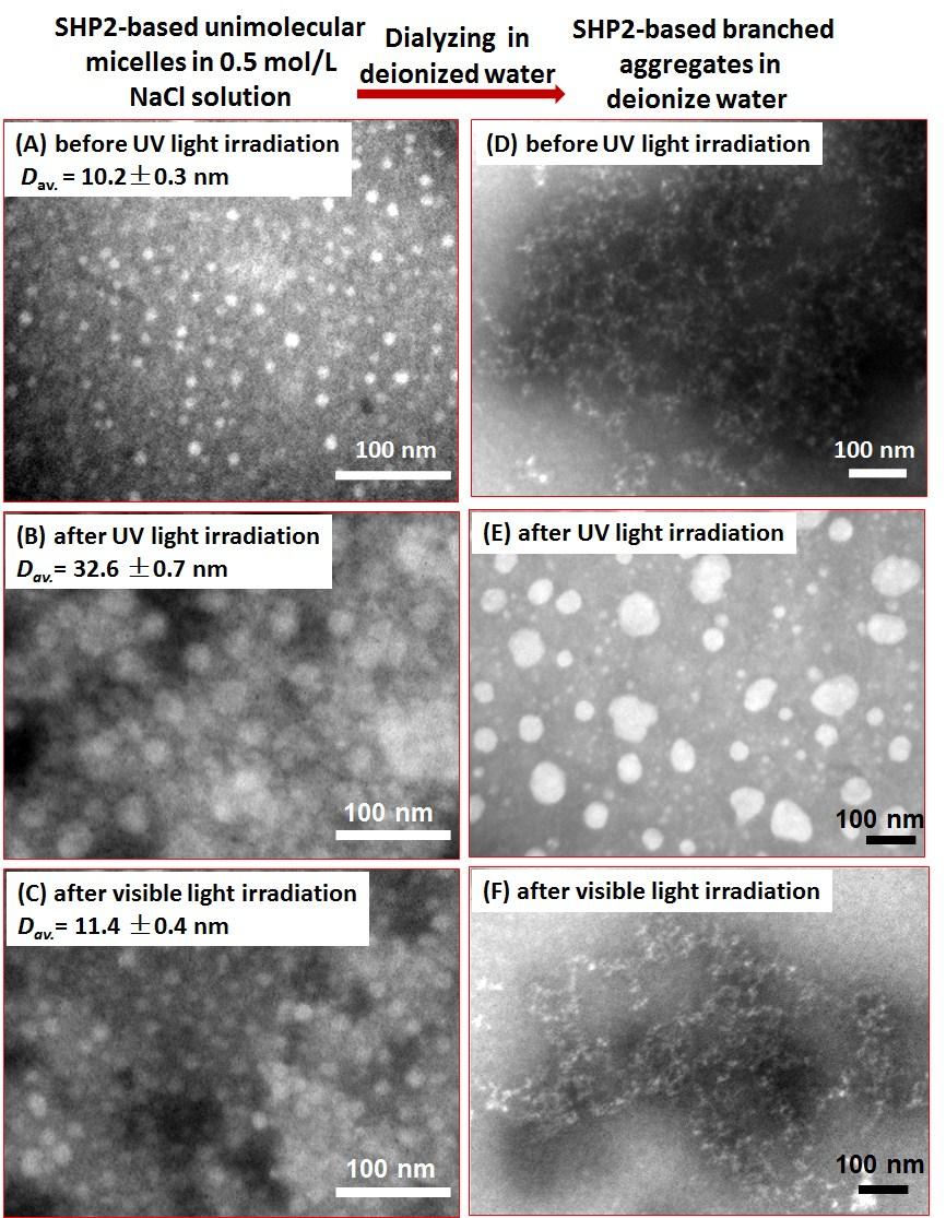 Figure 18 Zimm plots of MM and HP self-assemblies in 0.5 mol/l acl solutions and aqueous solutions at 25 o C. 4.