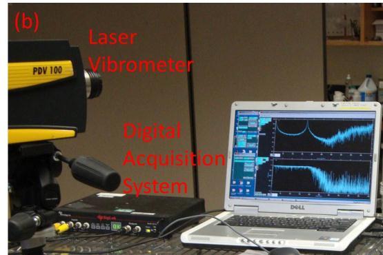 Digital Acquisition Accelerometer and laser vibrometer output analog signals ex.