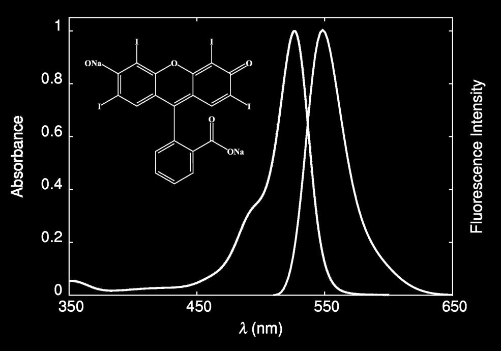 The molecular formula is given as an inset. 2a. Erythrosine Beer-Lambert Plot Figure S4.