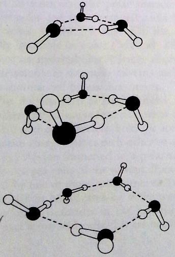 1- Physical Properties of Water: A - Water is a Polar Molecule Figure 2-4: Rings of water molecules (irregular).