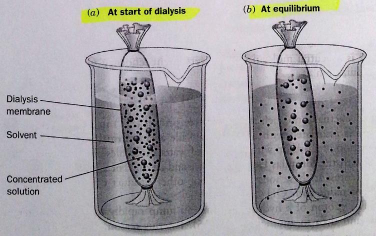 Dialysis-Treatment of Kidney failure Diffusion of solutes is the