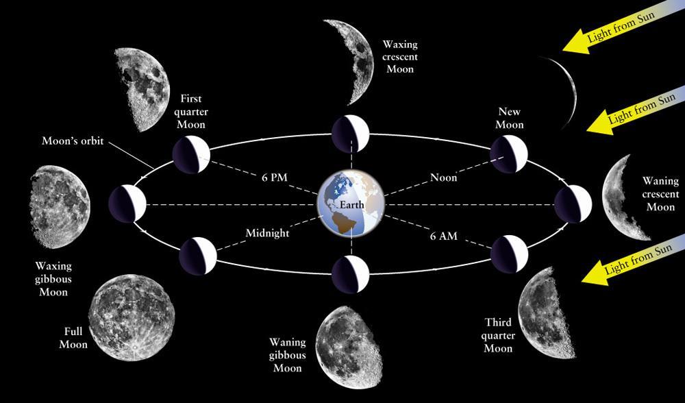 Phases of Moon (skip tides).