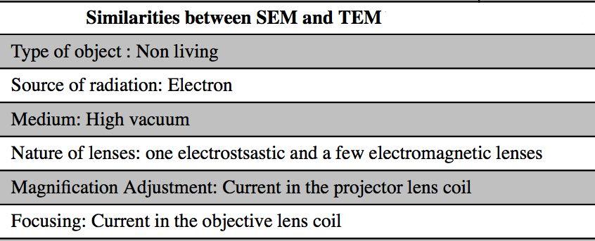 SEM-TEM: Similarities K.