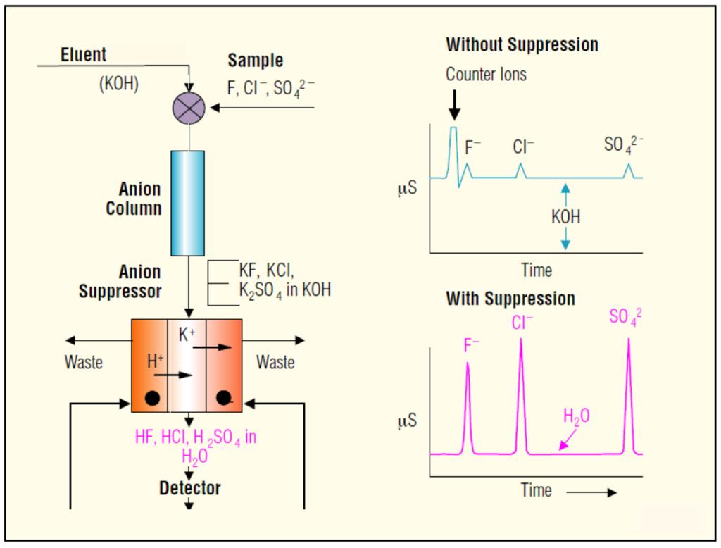 Fig. 4. The schematic presentation of the suppression process used in an anionexchange chromatography with hydroxide eluent (KOH).