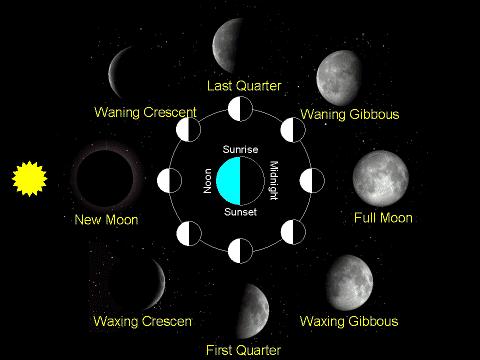 Graphical depiction of the phases (click to see full-size) [Lunation Movie. This movie shows one month of lunar phases. Note how the moon appears larger at perigee and smaller at apogee.