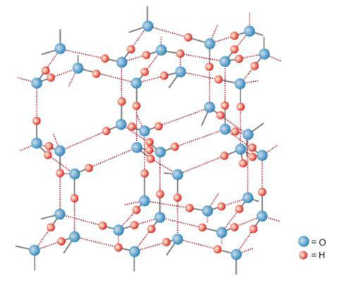 hexagons by hydrogen bond Hydrogen