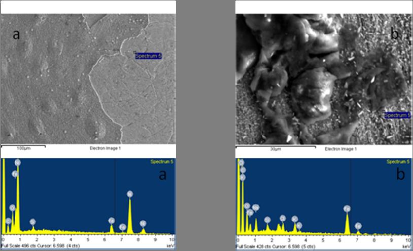 Proceedings WHEC2010 101 Figure 2: SEM and EDX spectrum images of Ni electrode after steady-state polarization in a) pure water + 1 mol.dm -3 KOH,