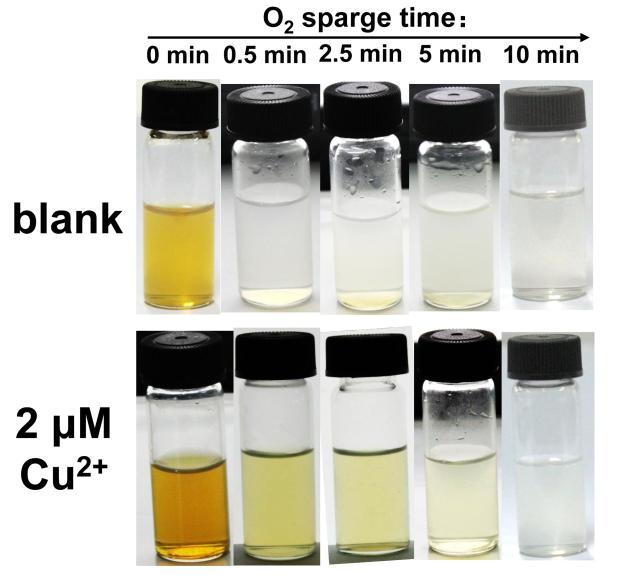 comparison with direct determination methods), are suggested to be treated with the preconditioned chelating resin through following procedure: an aqueous sample was mixed with 0.