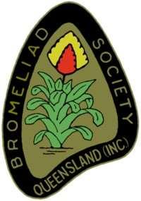 Broms are addictive The Bromeliad Society of Queensland Inc Newsletter April 2015 April Meeting In the absence of President Barry, John Olsen welcomed all members and visitors.