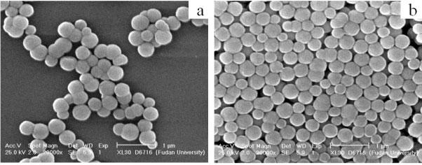 Figure SIV SEM images of (a) MS microspheres and (b) Fe 3+ -MS microspheres which reveal that the surface