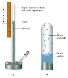 Vapor pressure: partial pressure of the vapor over the liquid measured at equilibrium and at some temperature.