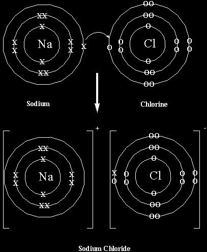 Diagram of a sodium ion and a chloride ion, forming the ionic compound, sodium chloride (NaCl): (Recall that a sodium atom has 11 protons and 11 electrons.