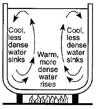The movement of water upward from A toward B results primarily from A) differences in density in the water B) air movement across the